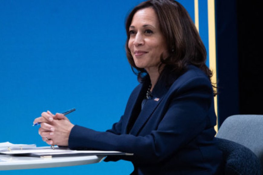 Africa is world's 'future' for touring US VP Harris