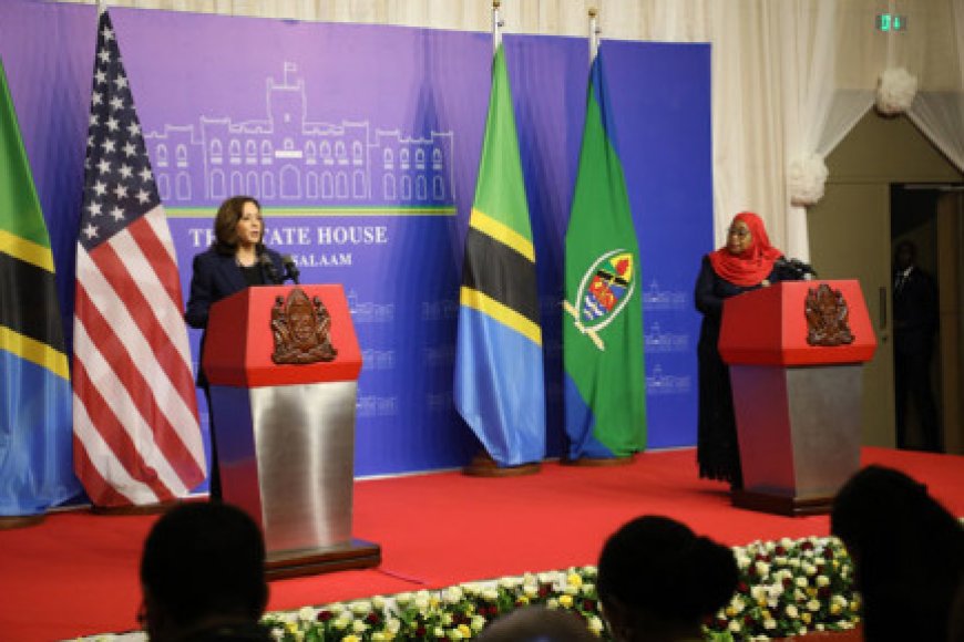 VP Harris hails Tanzania leader, announces trade boost