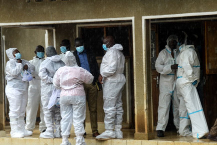 New autopsies in Kenya cult case confirm murder