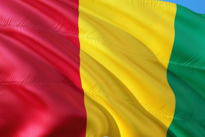 Guinea junta suspends membership in regional development group