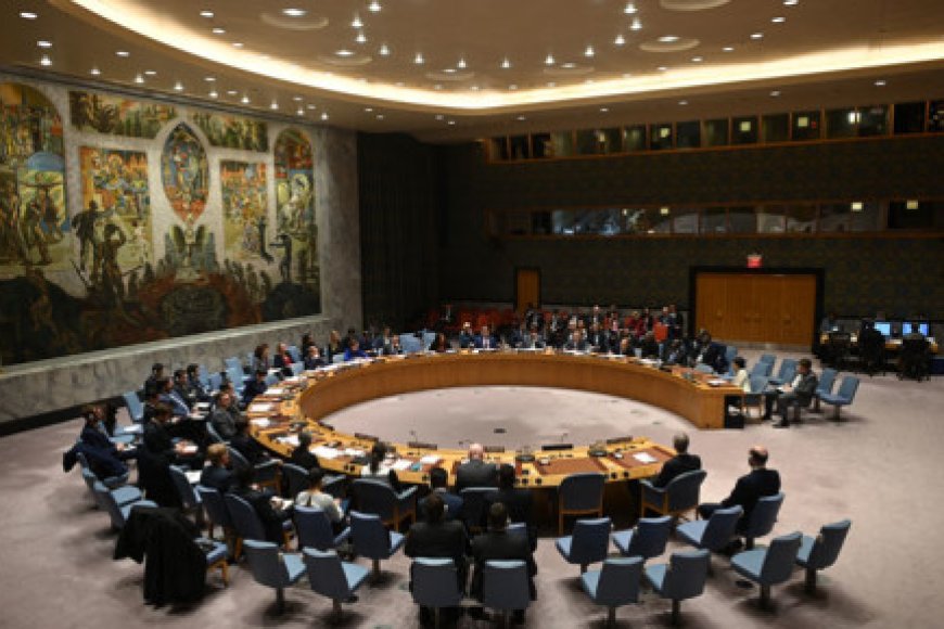 Russia vetoes UN resolution on Mali sanctions