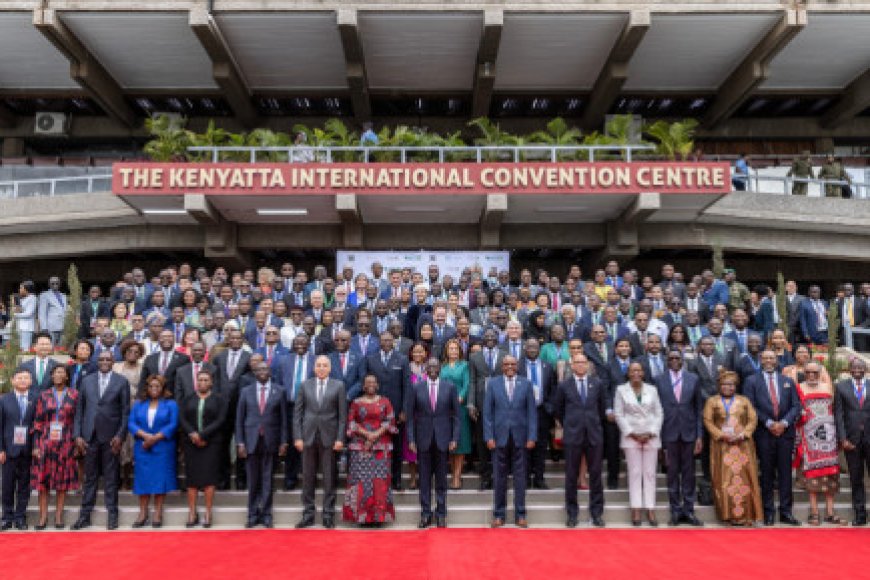 Africa seeking to tap investment on climate action