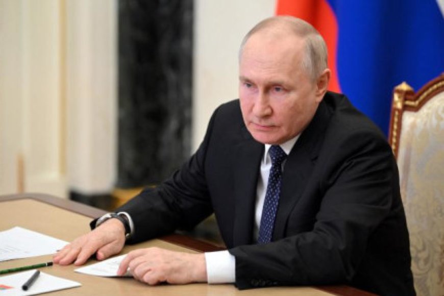 Putin says free grain exports to Africa to begin in 'weeks'