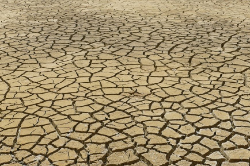 Tanzania faces power shortages, rationing due to drought