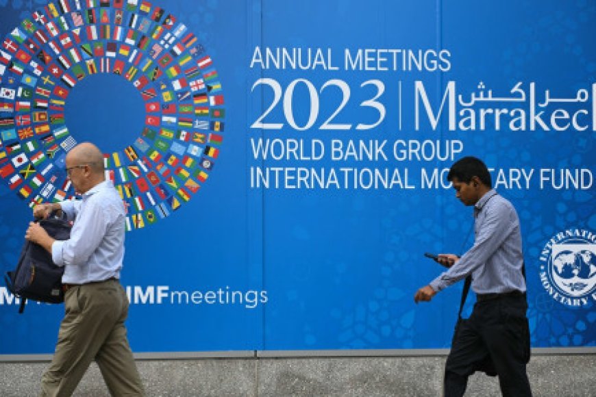 Africa to get 'stronger voice' at IMF: Georgieva