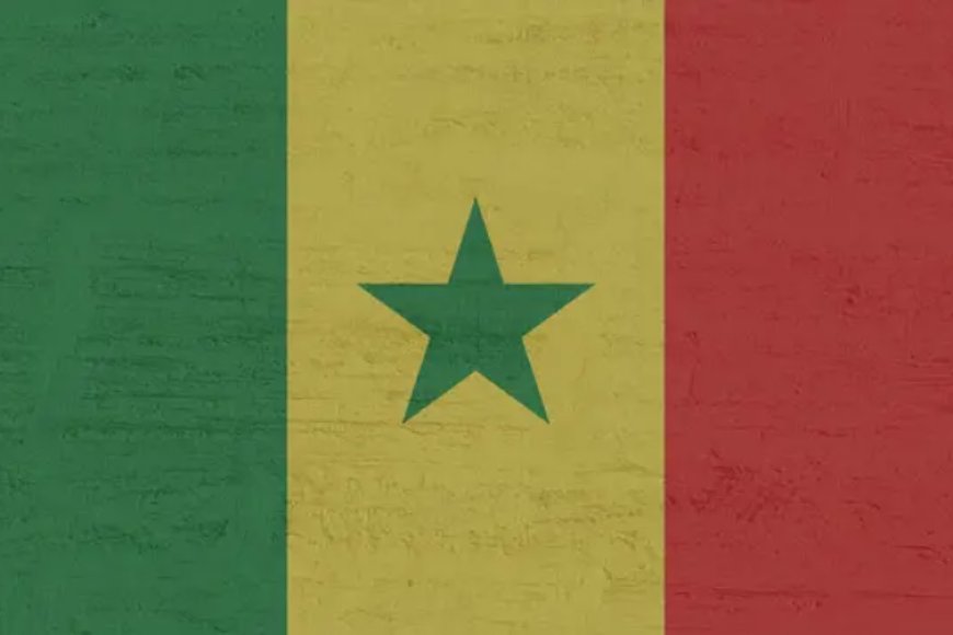 EU says Senegal election delay 'taints' democratic tradition
