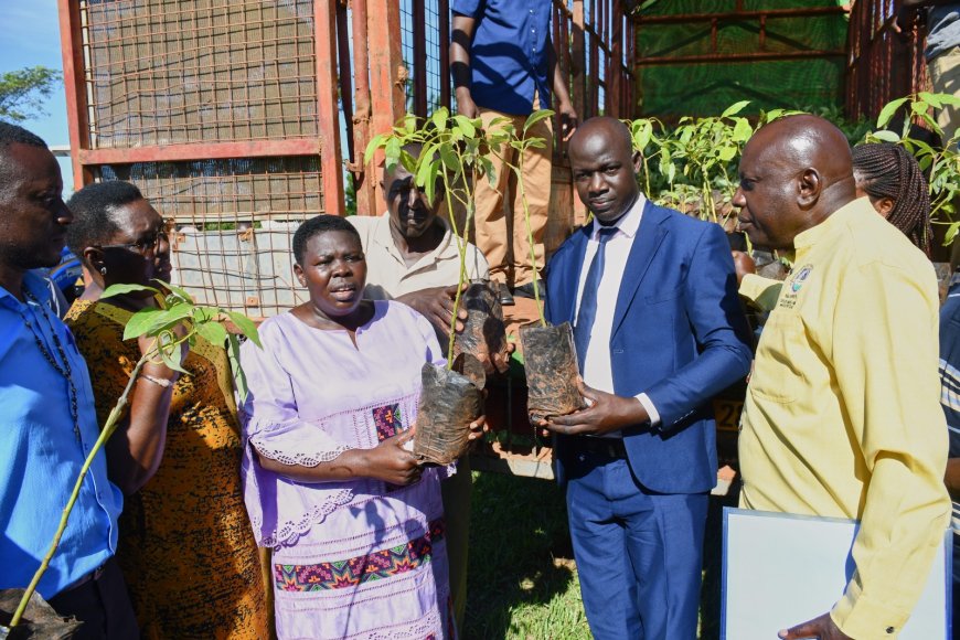 NRM Continues to Improve People's Livelihoods in Greater Luweero through  Transformation Programs