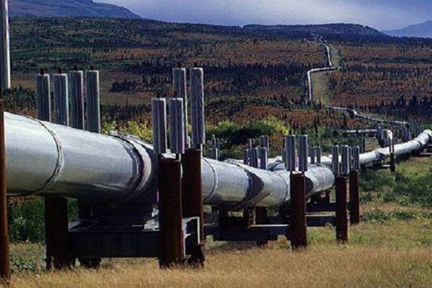Climate Change in Uganda is Caused by Oil Extraction among other Concerns - 7th  Citizens Convention on Extractives 2024.