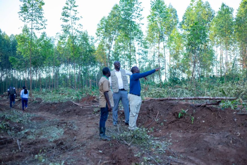 National Forestry Authority Clashes with KCCA over Buto Buvuma Central Forest Reserve after Detection of a New Possible Landfill Site.