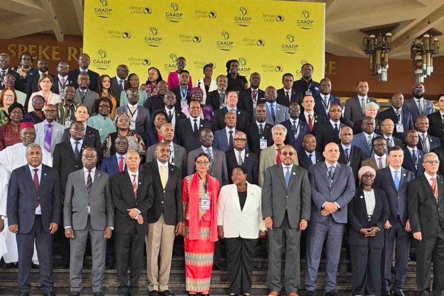 African Union Ministers of Agriculture Convene in Kampala for Landmark Summit to Advance Food Security