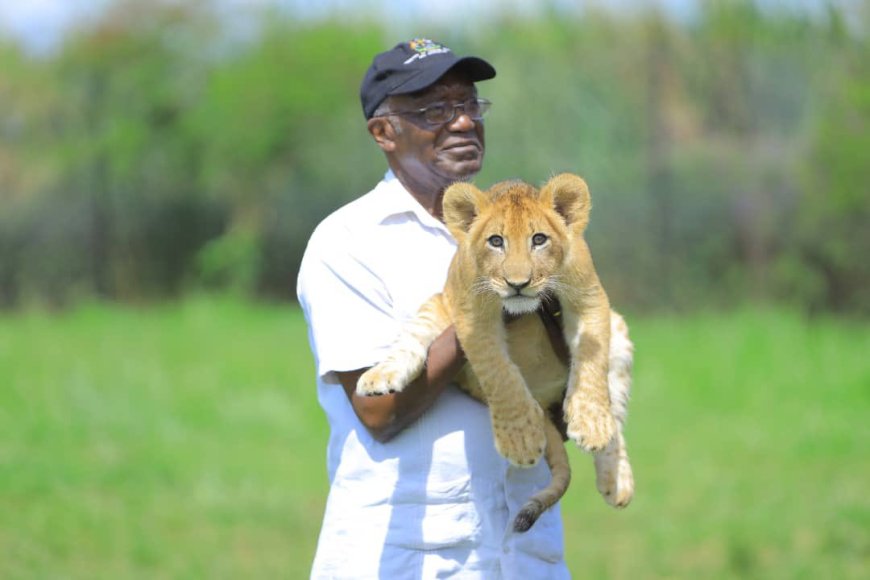 Uganda to Celebrate World Wildlife Day 2025 with National Events in Lira