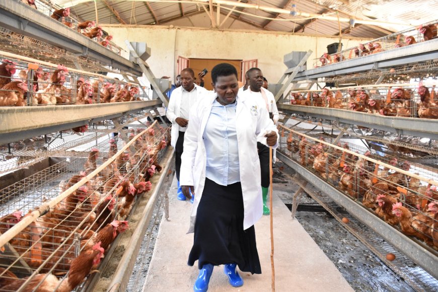 NRM Deputy Secretary General Namayanja Rose Nsereko Rallies Nakaseke Farmers to Embrace Poultry Farming