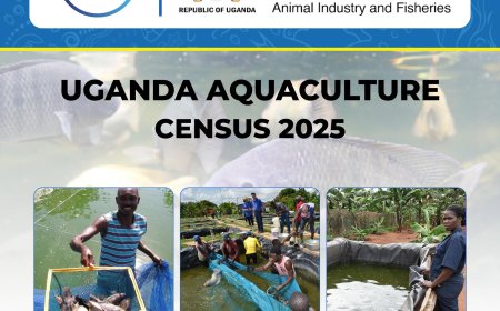 Uganda Set to Conduct National Aquaculture Census in May 2025