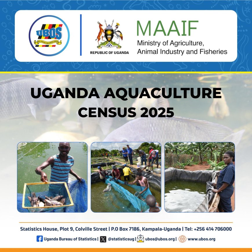 Uganda Set to Conduct National Aquaculture Census in May 2025